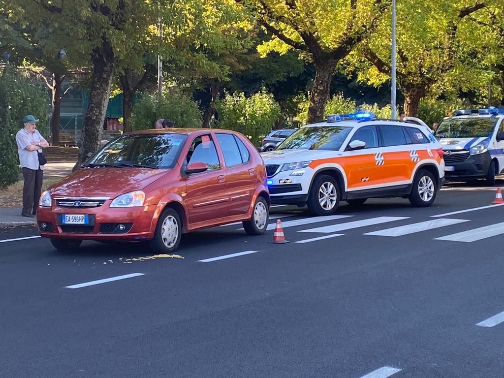 Modena. Attraversa e viene investito 