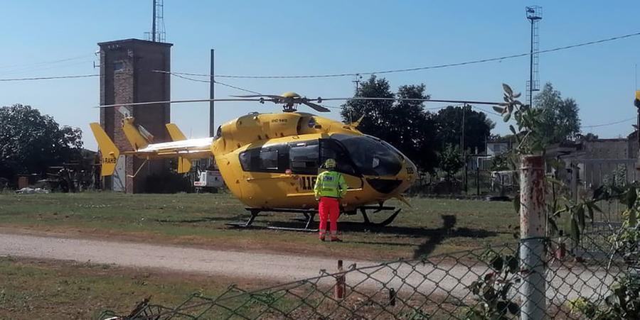 Serravalle, punto dalle vespe va in shock