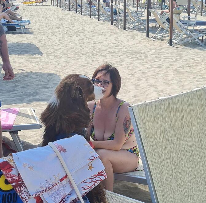 Lettini e docce per cani: così la spiaggia diventa davvero per tutti
