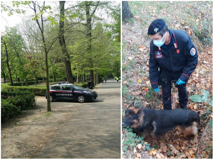 Cascine, il pusher nasconde la droga e si getta in Arno per sfuggire ai carabinieri. Ma il cane Batman fiuta il “bottino”