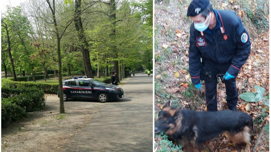 Cascine, il pusher nasconde la droga e si getta in Arno per sfuggire ai carabinieri. Ma il cane Batman fiuta il “bottino”