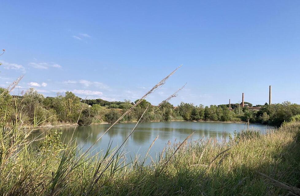Corsa al fotovoltaico a Cecina: il progetto innovatico è galleggiante