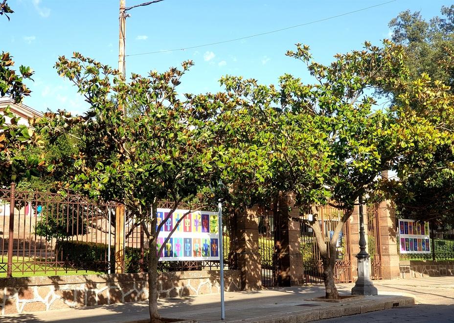 Sassari, un lifting alle aree verdi di via Roma, via Asproni e piazza Castello