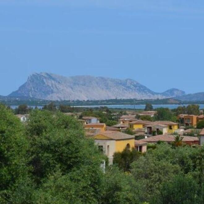 San Teodoro, ladri scatenati a Ferragosto 
