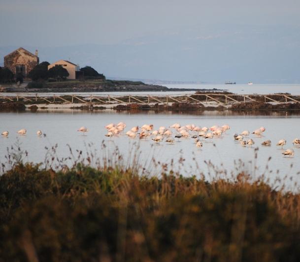 La polemica  tra sindaci per il progetto Sterna infiamma Stintino 