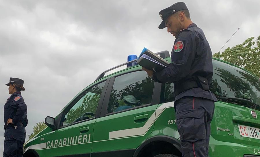 Non rispettano le norme sulla gestione degli effluenti, due aziende agricole sanzionate