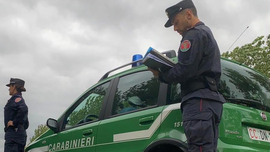 Non rispettano le norme sulla gestione degli effluenti, due aziende agricole sanzionate
