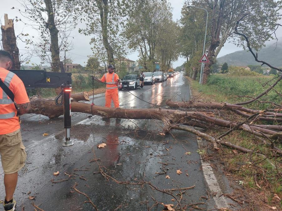 Versilia, danni e paura per il maltempo