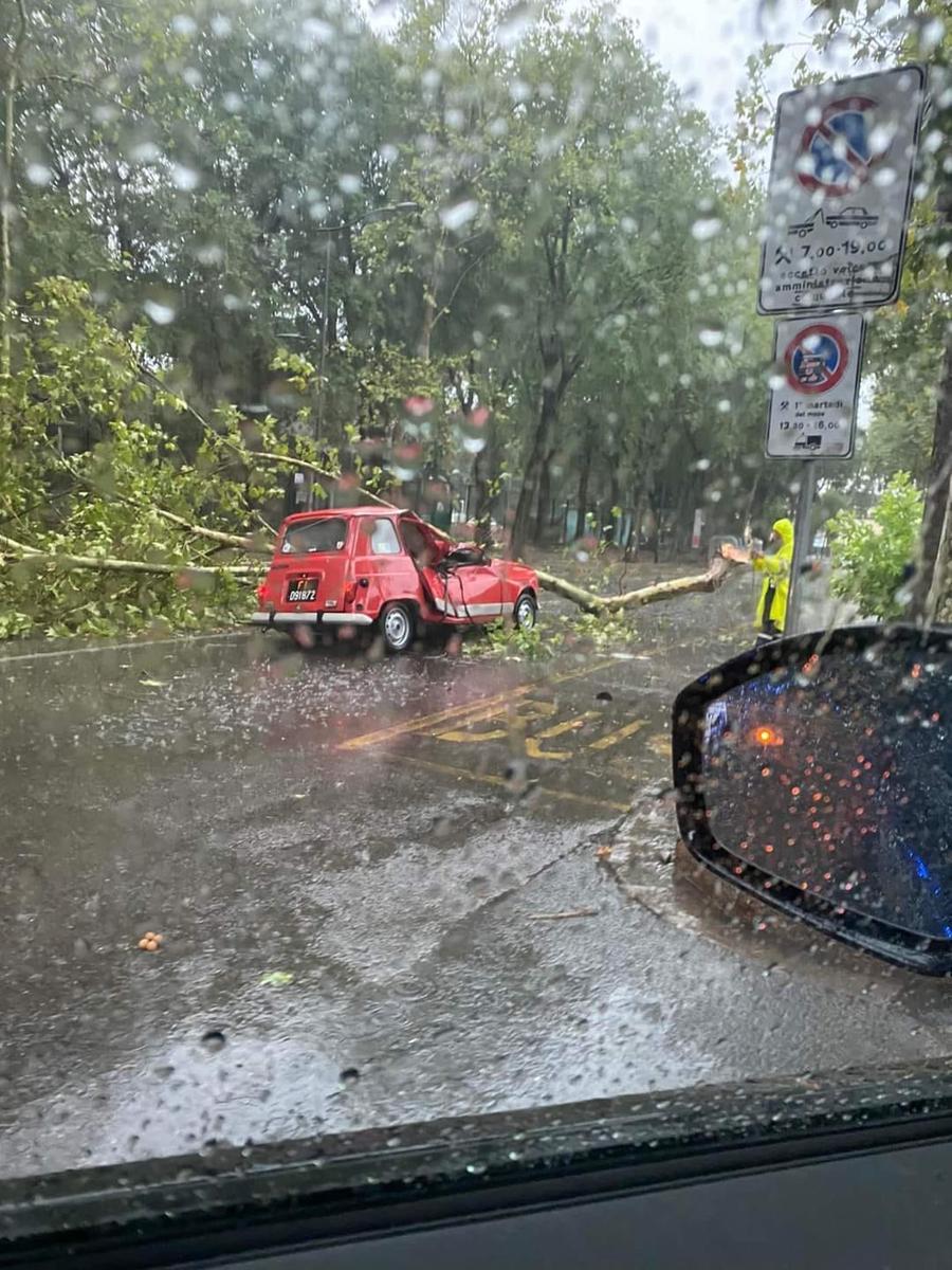 Violento temporale in città, alberi crollati (anche sulla tramvia) e strade allagate: tre feriti