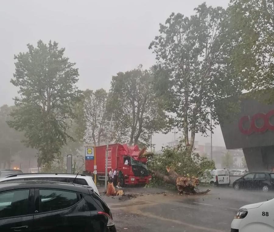 Bufera di vento, albero cade su un camion alla Coop