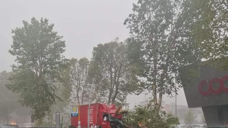 Bufera di vento, albero cade su un camion alla Coop