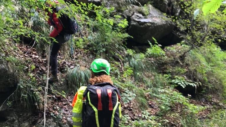 villa minozzo - ricerche per il fungaiolo disperso