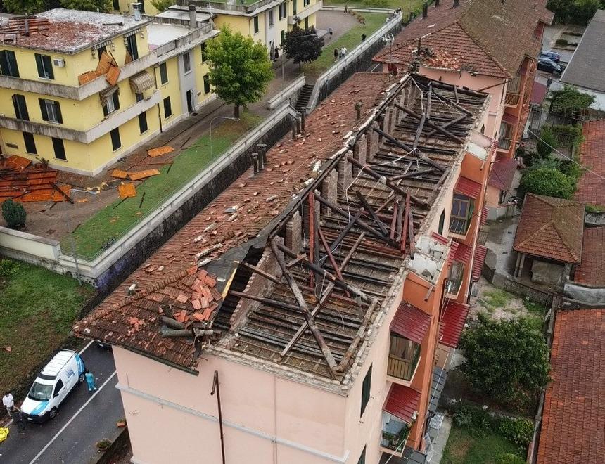 Sega la pianta caduta da poco, tronco lo travolge e lo uccide