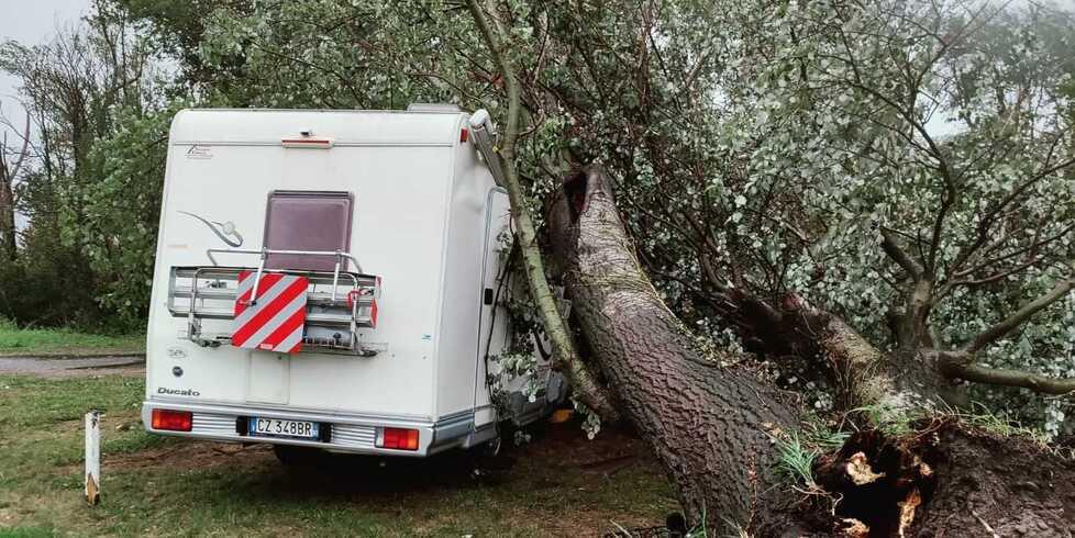 Albero schiaccia camper: salva per miracolo famiglia sassolese