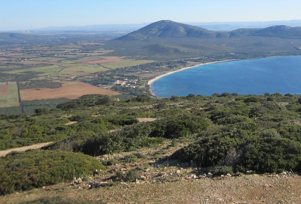 Nei terreni di Porto Conte sbarca il progetto Signorvino