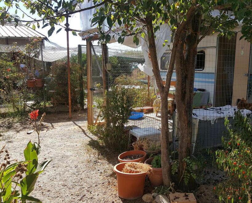 Rubano pacco da venti chili di croccantini per gli animali del gattile