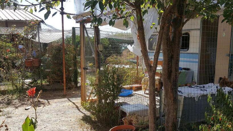 Rubano pacco da venti chili di croccantini per gli animali del gattile