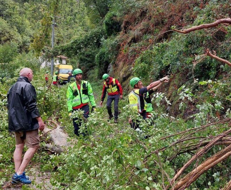 Scuolabus fermo nel bosco per il maltempo: 24 bambini soccorsi