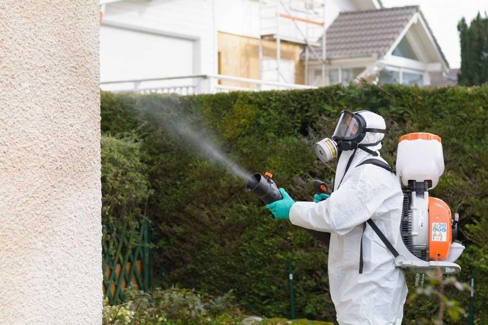 Due casi di West Nile, l’epidemiologo: «Rare le conseguenze gravi»