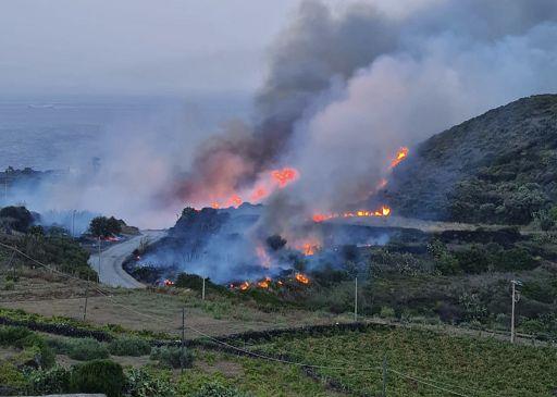 Cavallo nell’inferno di Pantelleria: «Chi ha fatto questo è un infame»