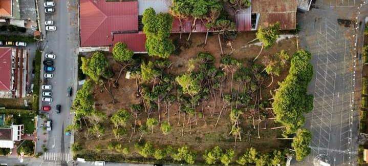 Maltempo, l’esperto: «Alberi, il pericolo nella bufera: il verde delle città va ripensato»