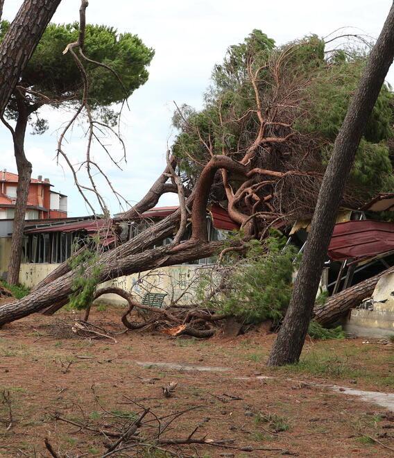 Aria fredda sul mare troppo caldo, ecco come è nata la tempesta