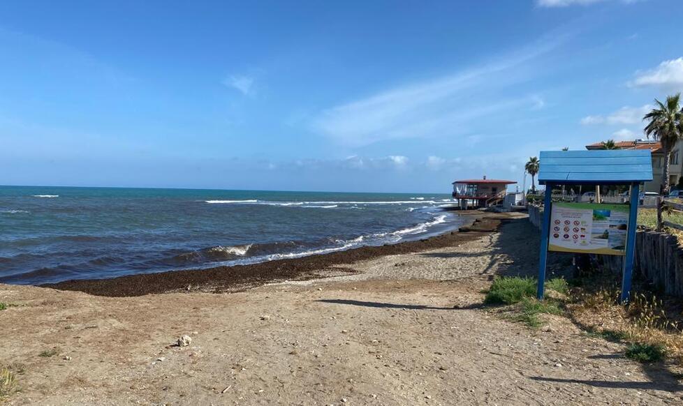 Il materiale del mare per addobbare la spiaggia: il progetto ecologico slitta al 2023