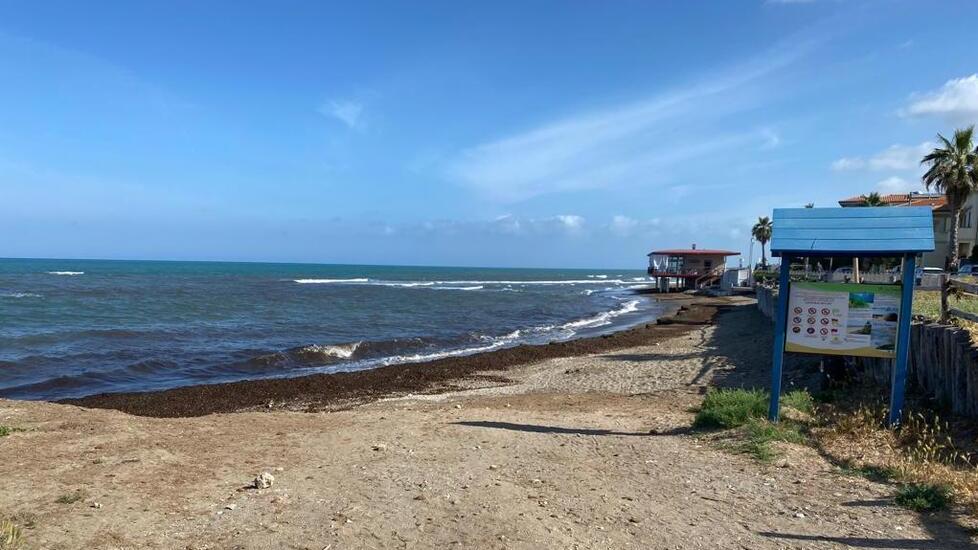 Il materiale del mare per addobbare la spiaggia: il progetto ecologico slitta al 2023