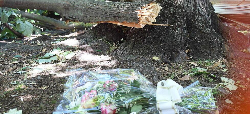 Maria Laura, morta durante la bufera, nessun indagato. L’inchiesta: omicidio colposo