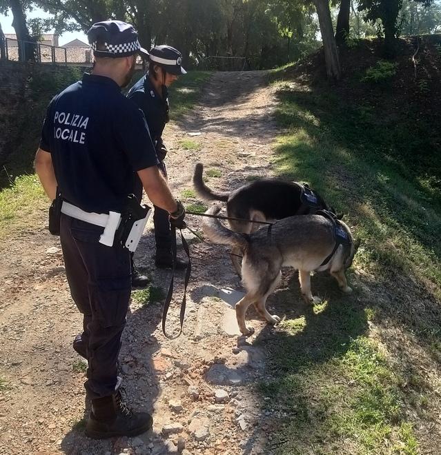 Ferrara, la protesta dei residenti: «Mura assediate dagli spacciatori»