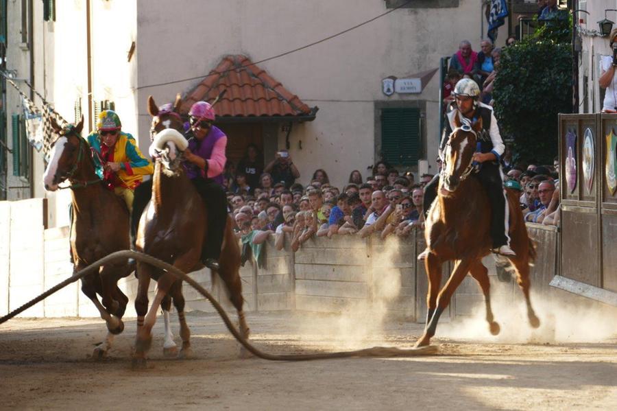 
	Una passata edizione del&nbsp;Palio Castel del Piano (foto Enzo Russo)

