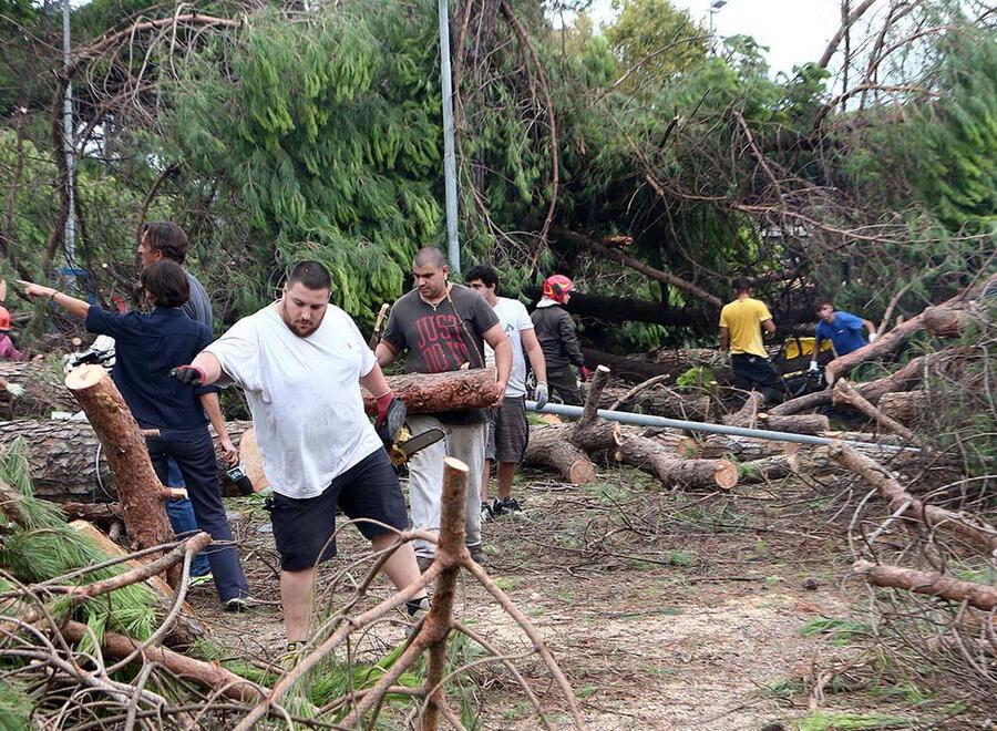 Volontari al lavoro, in tante zone di Marina alberi caduti al suolo