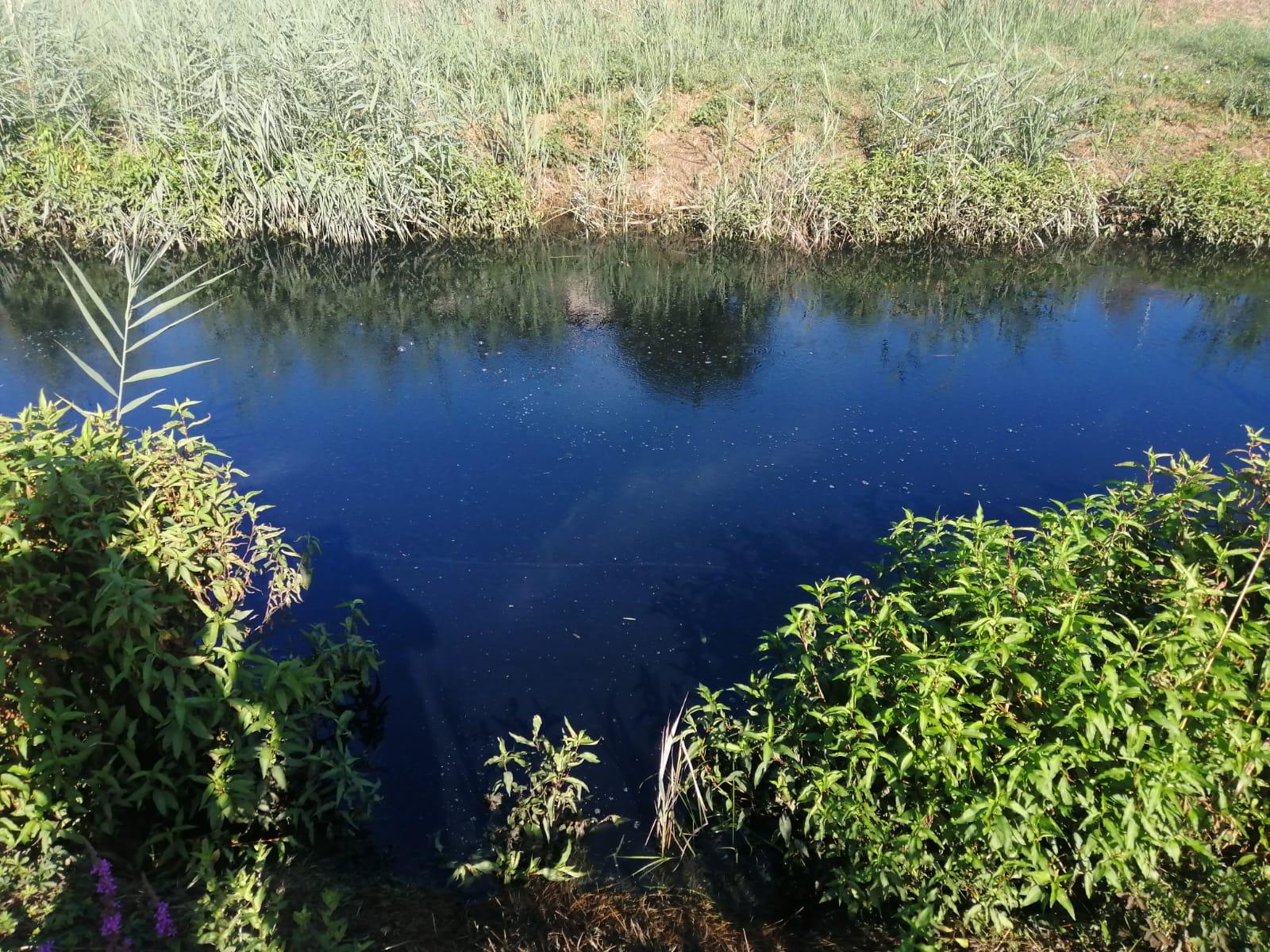 Il colore scurissimo delle acque del canale che scorre parallello all’Usciana