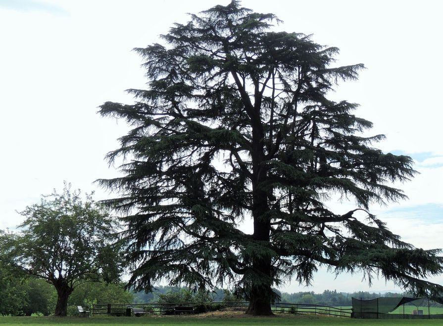 Assaggi alla Reggia di Rivalta 