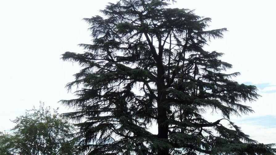 Assaggi alla Reggia di Rivalta