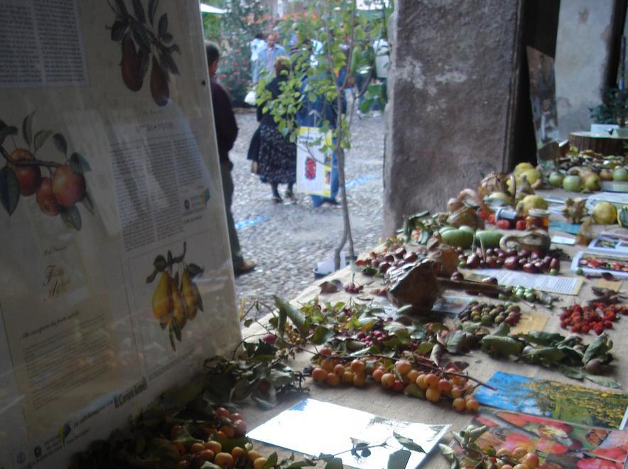 Erbe e animali antichi in fiera 