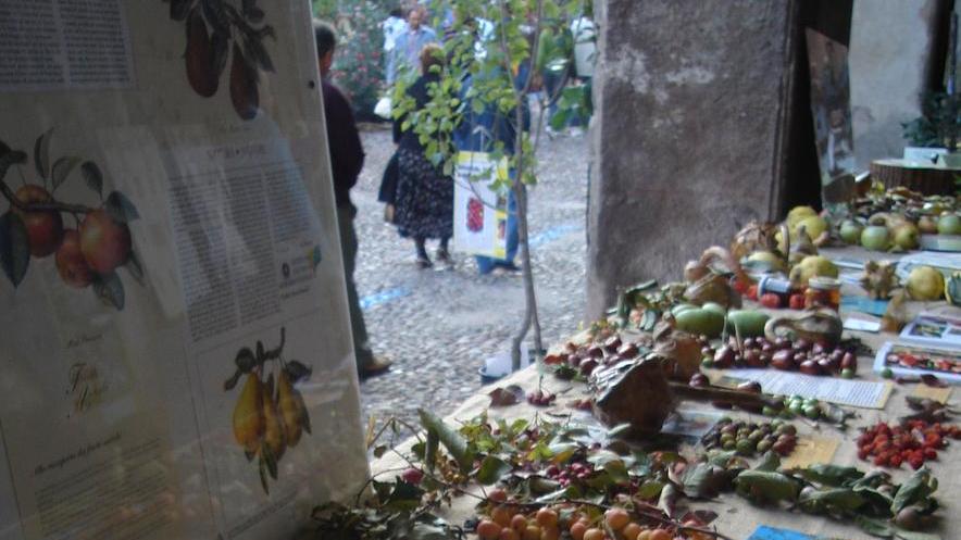 Erbe e animali antichi in fiera