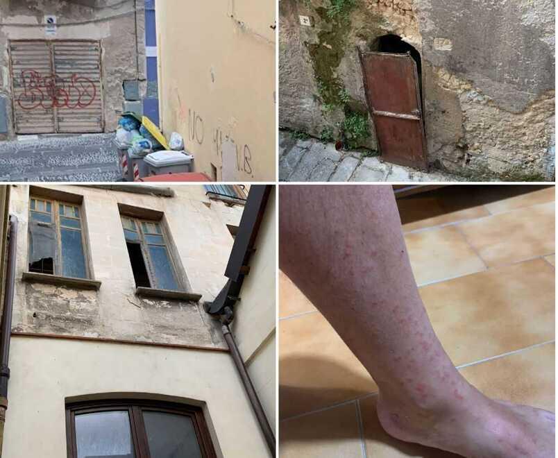 Sassari, via Lamarmora invasa dalle pulci