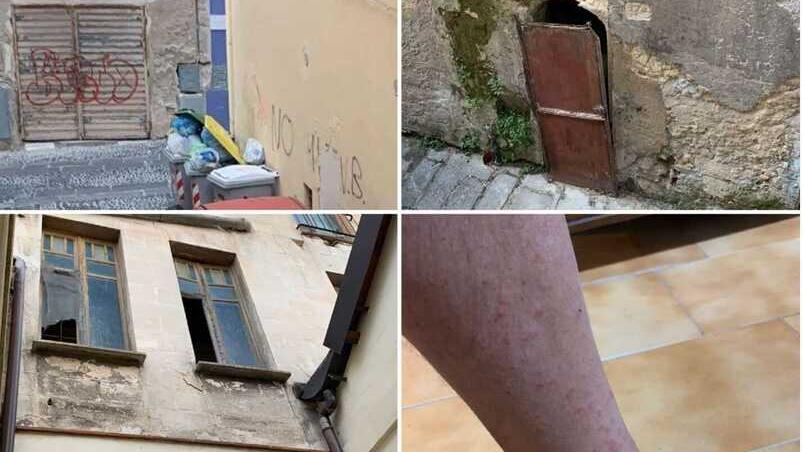 Sassari, via Lamarmora invasa dalle pulci