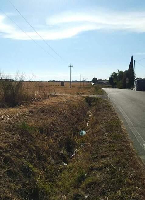 La zona del Guinzone ad Albinia dov’è avvenuto il tentato furto
