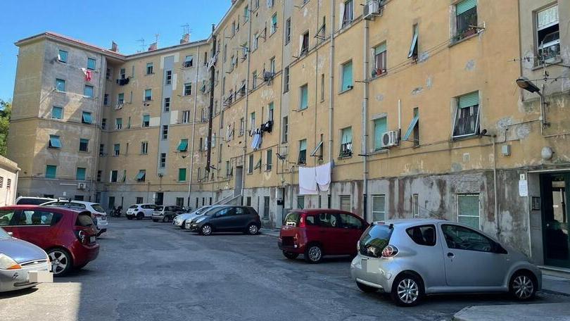 Livorno, la morte di Denny una scintilla nella polveriera di via Bruno