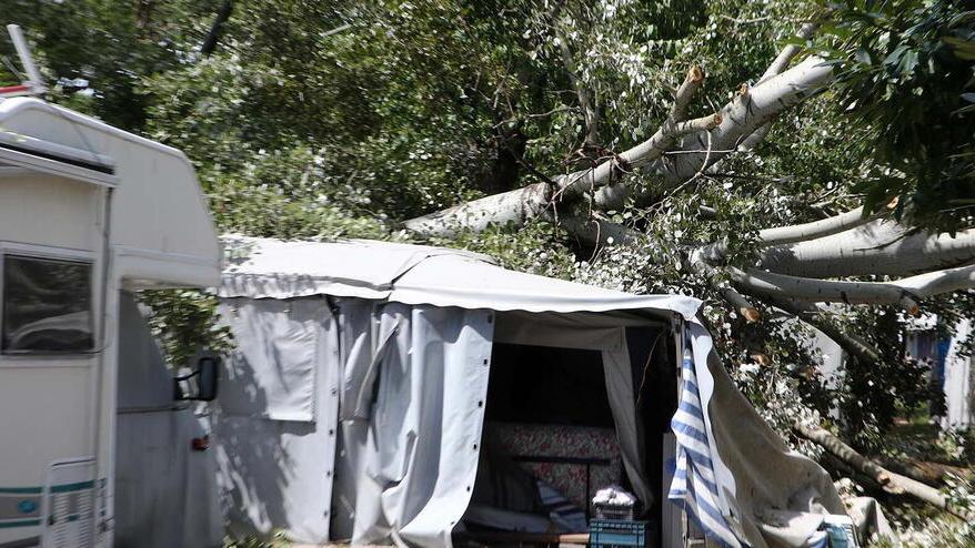 L’albero caduto su una roulotte al campeggio Italia