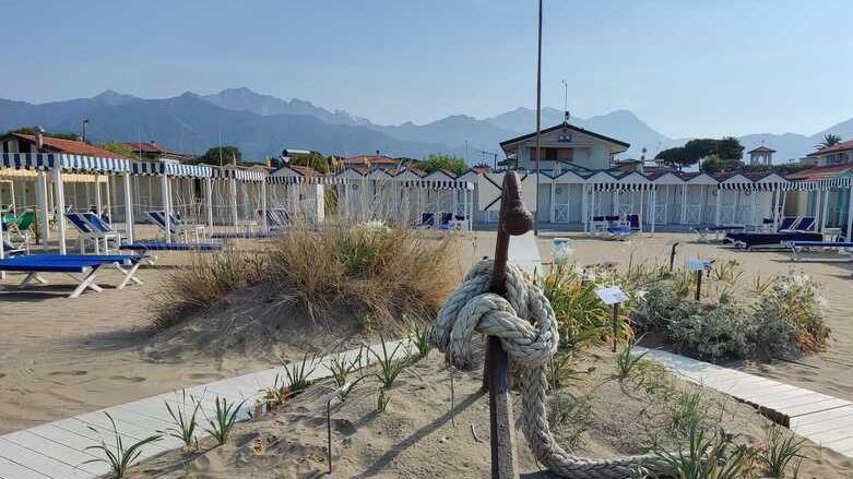 Al Bagno Acali una duna certificata dall’orto botanico dell’ateneo pisano