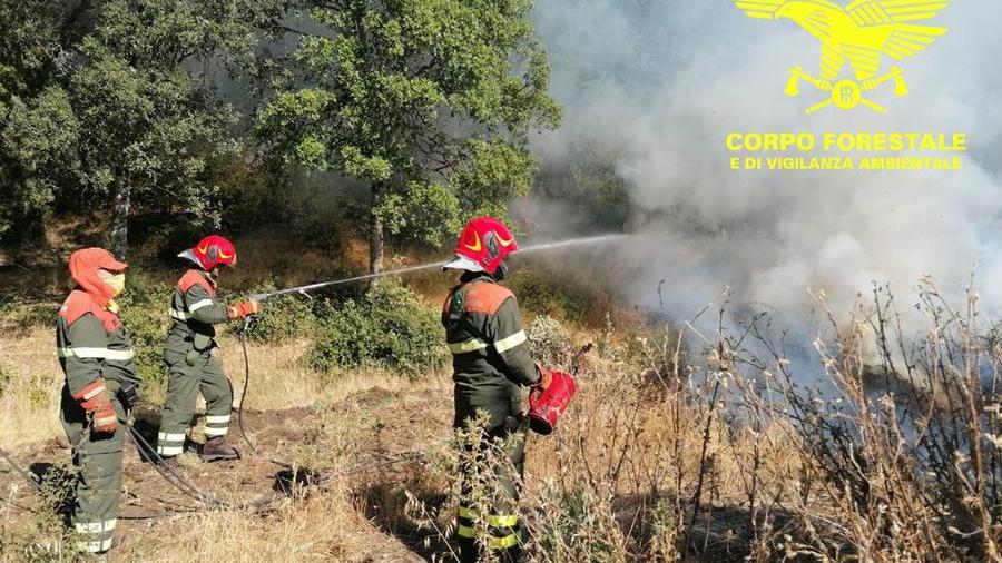 Fiamme nella zona di Tanca Manna a Macomer, in azione elicotteri e Canadair