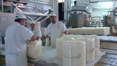 Caro bollette, l'allarme del caseificio Pinna: «Abbiamo investito nel fotovoltaico, ma i costi sono triplicati lo stesso»