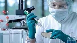 Covid, un lutto a Ferrara. Cinque ricoveri e 150 nuovi positivi