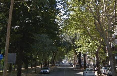 
	Viale Fanti, luogo dell'aggressione ai danni del 18enne&nbsp;

