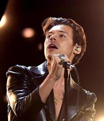 Concerti del 2023 al Campovolo: Harry Styles alla Rcf Arena
