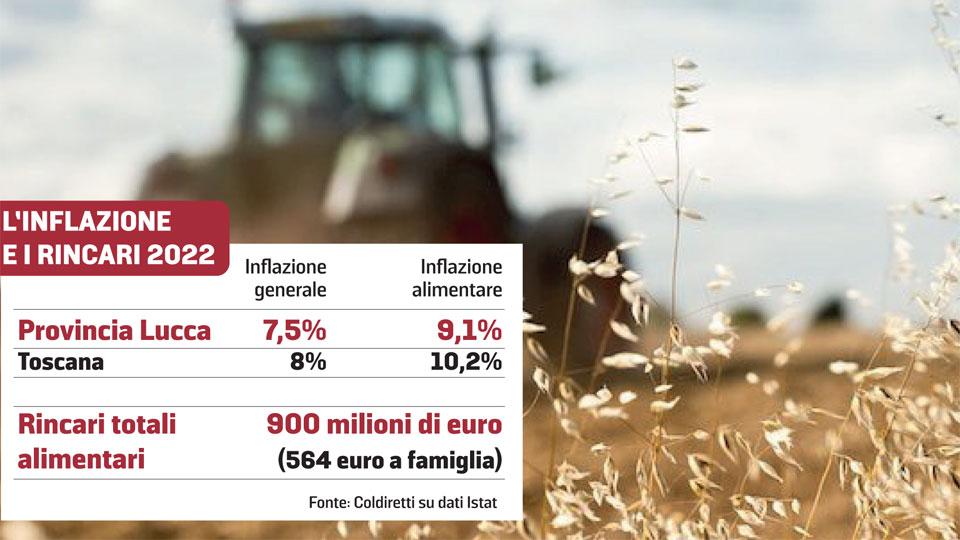 Caro spesa: 564 euro in più. L'andamento dei prezzi in provincia di Lucca