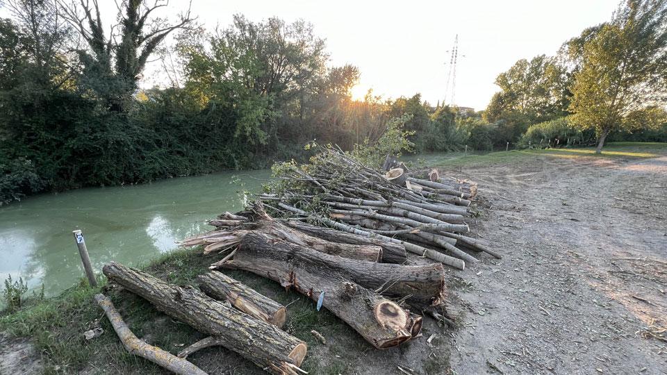 Certaldo, distesa di alberi caduti sull’Elsa 